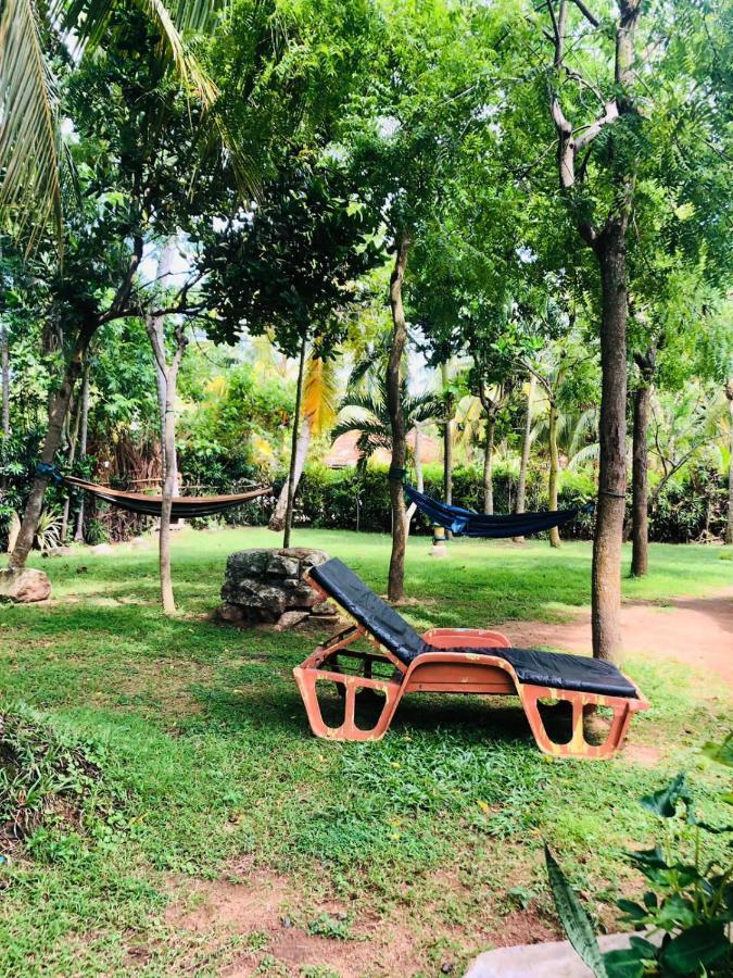 Lake View Cabana Paradise & Villa 坦加拉 外观 照片
